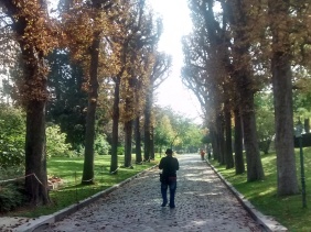Père Lachaise Cemetery, Visit Europe, Paris, France, Travel bloggers in India